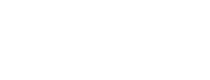 academy awards submission drunken birds