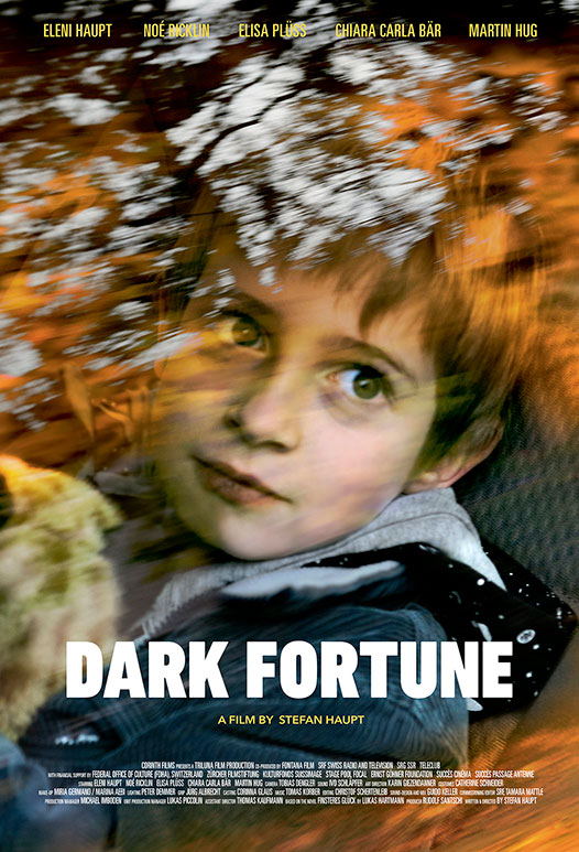 Dark Fortune Poster Art