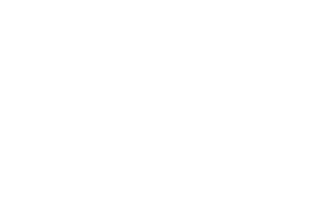 FICM 2018 Official Selection laurel