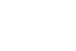 Dallas Intl Film Festival Official Selection laurel