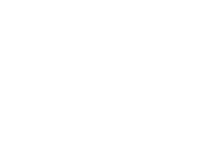 Sunscreen Film Festival 2019 Official Selection laurel